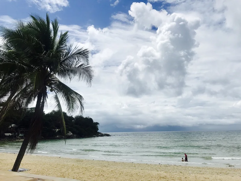 A palm and clouds over Kata Beach · HutheMeow, CC BY-SA 4.0